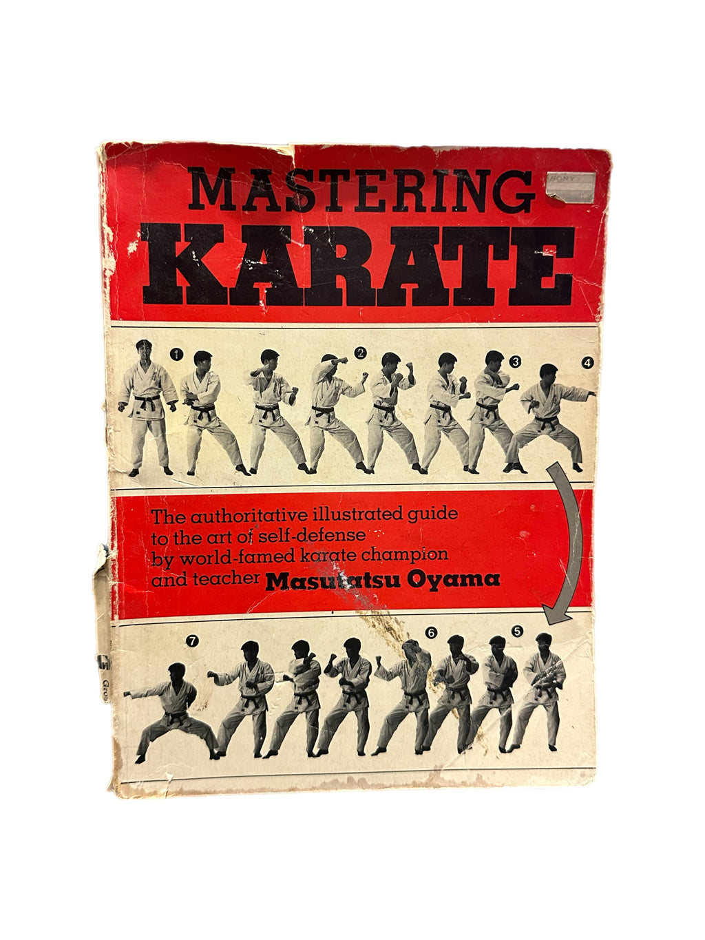 Mastering Karate