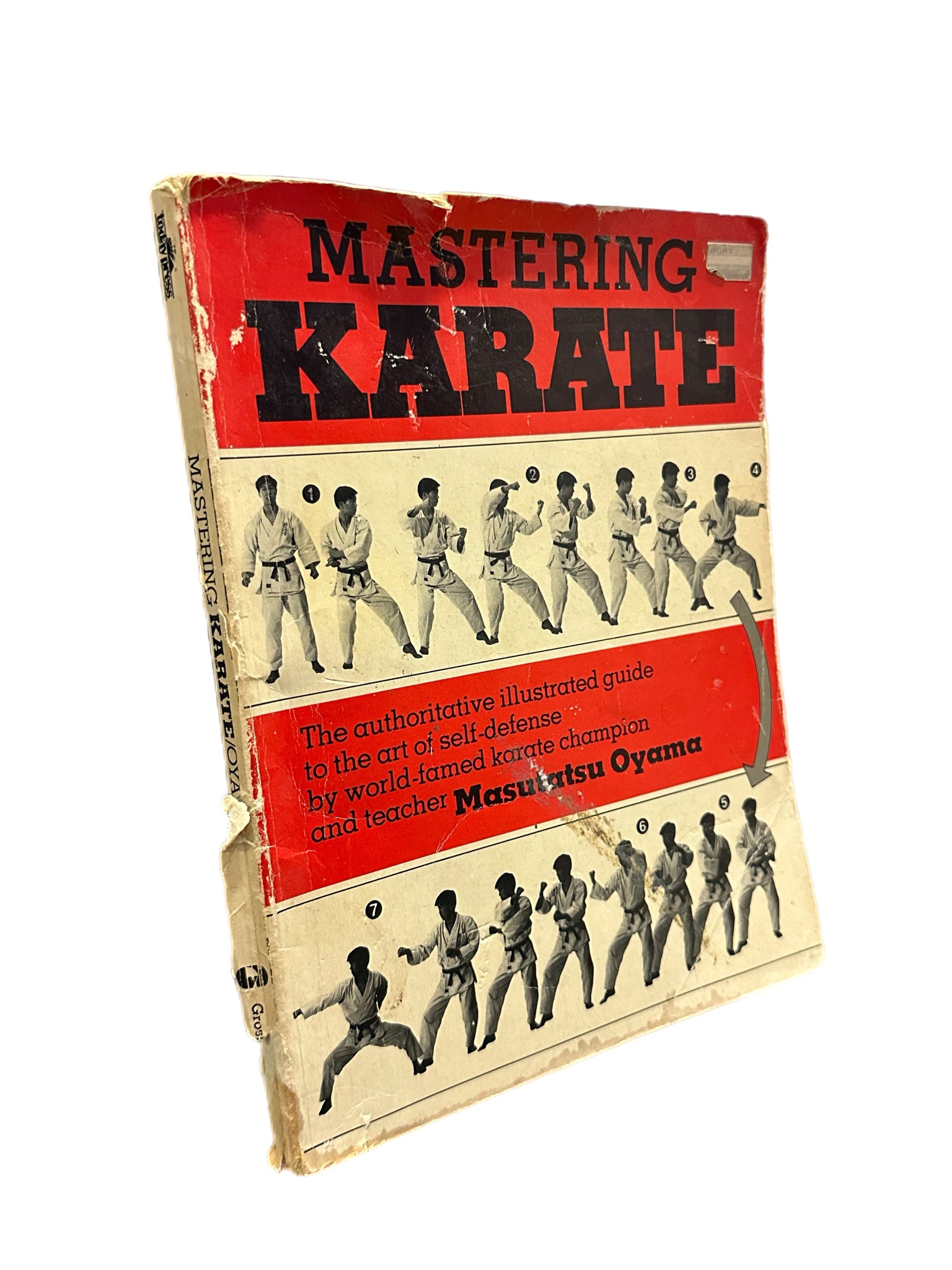 Mastering Karate